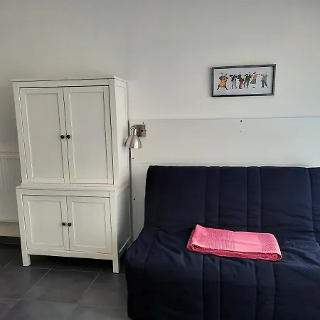 Apartament Le Palais - Au Centre Avec Parking Prive